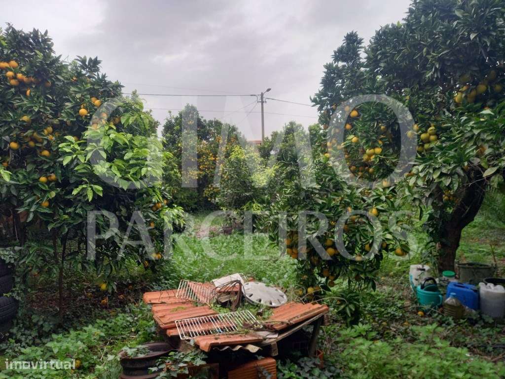 Moradia para reabilitar-19