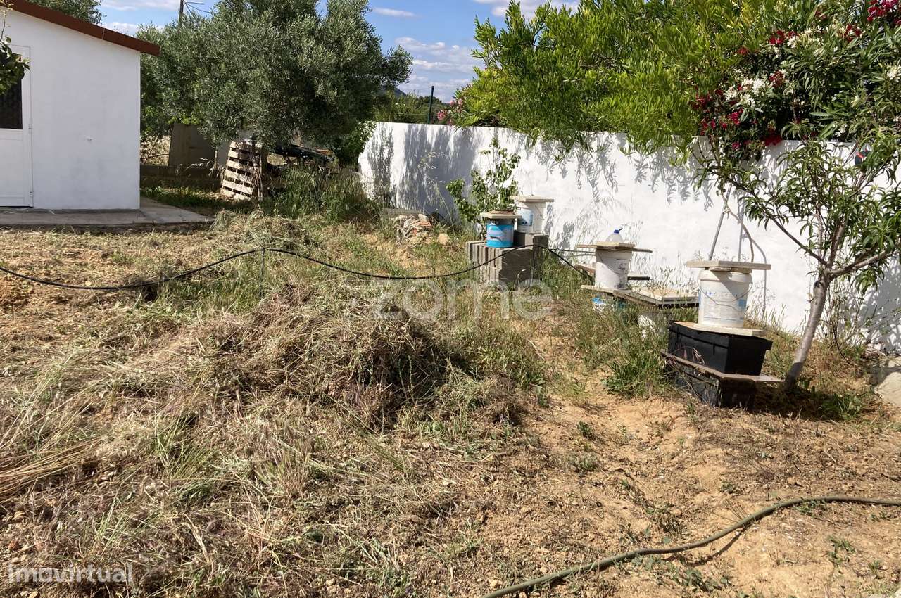 Terreno com Casa Modular - Grande imagem: 3/19