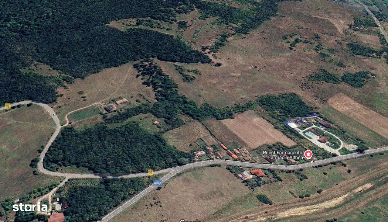 Teren extravilan padure 39.000 mp ~  Prunisor, Mehedinti-2