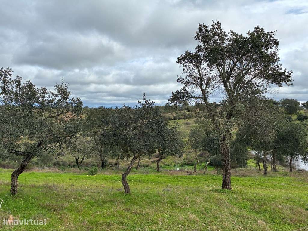 Quinta T2 em Serpa | Vista para a barragem-28