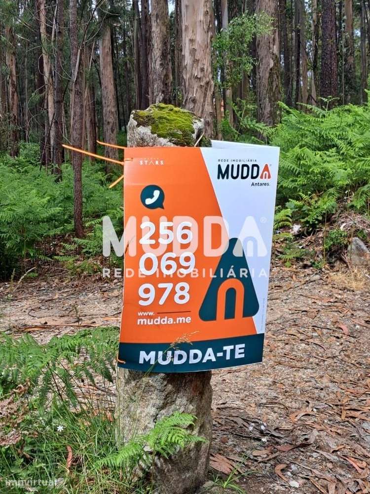 Terreno Rústico com Potencial Agrícola e Turístico – Preço Reduzido - Grande imagem: 4/13