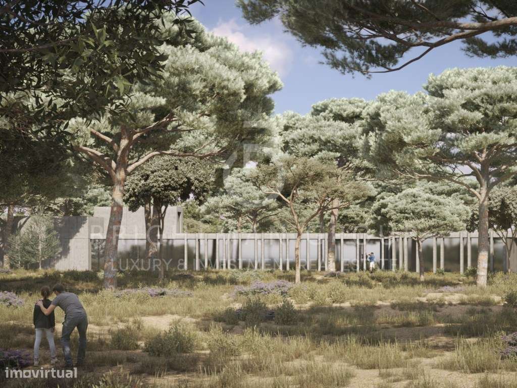 Terreno com projeto aprovado, na Comporta-4