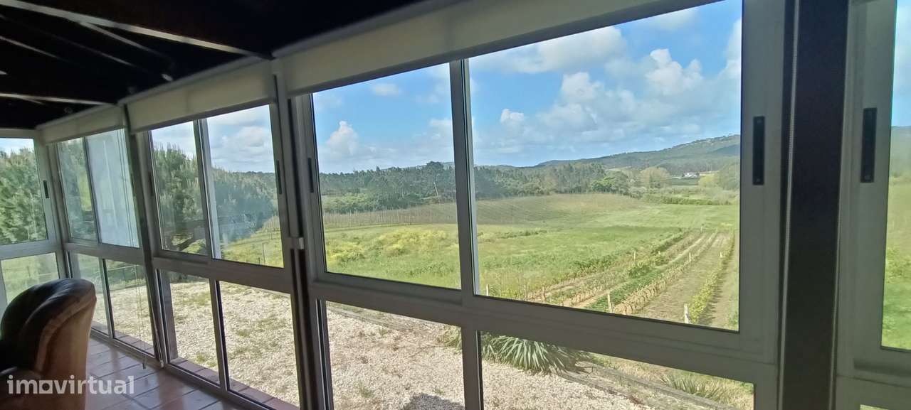 Quintinha Valado Frades Nazaré -Leiria-28