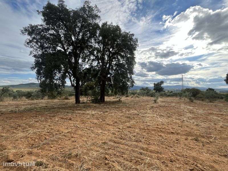 Terreno Rústico — Capinha, Fundão - Grande imagem: 5/9