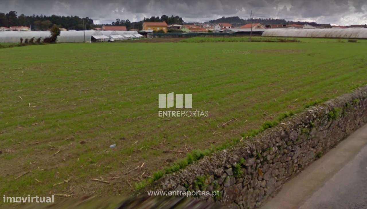 Venda de Terreno Agrícola com 5240 m2, Terroso - Grande imagem: 2/15