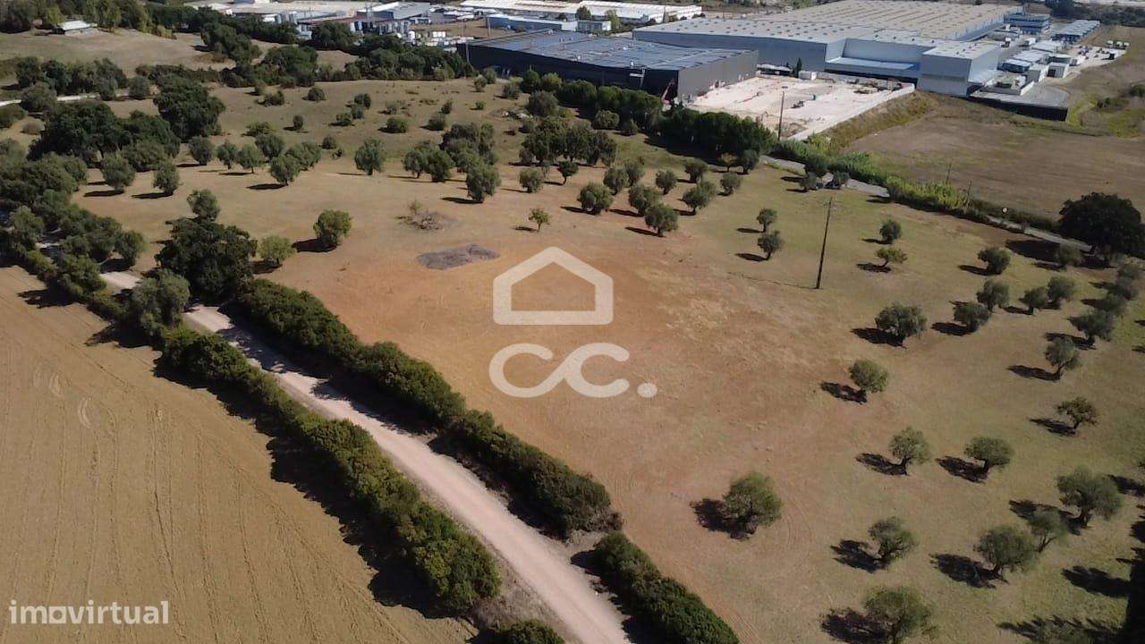 Terreno Rústico com 25.240 m² em Ferras, Gavata, Torres Novas – RAN-36