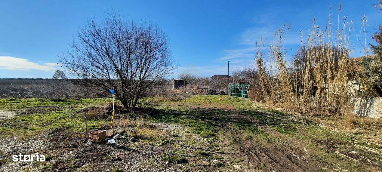 Vama Veche | Teren intravilan pentru investiții imobiliare!-3