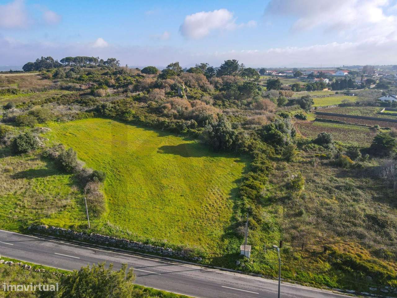 Terreno em Vinha De Chão Rijo - Grande imagem: 3/15