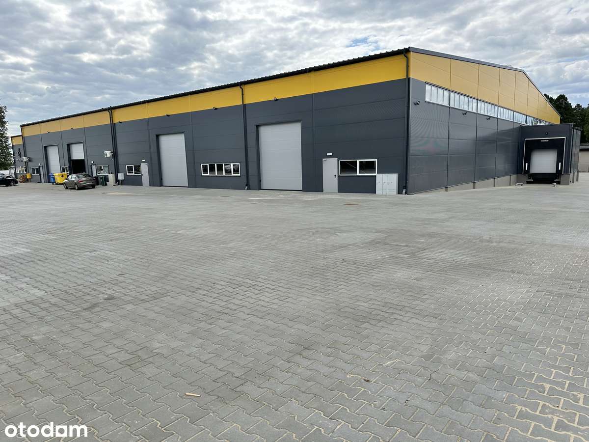 Hala, magazyn, produkcja przy S8 - Pełny obrazek: 4/13