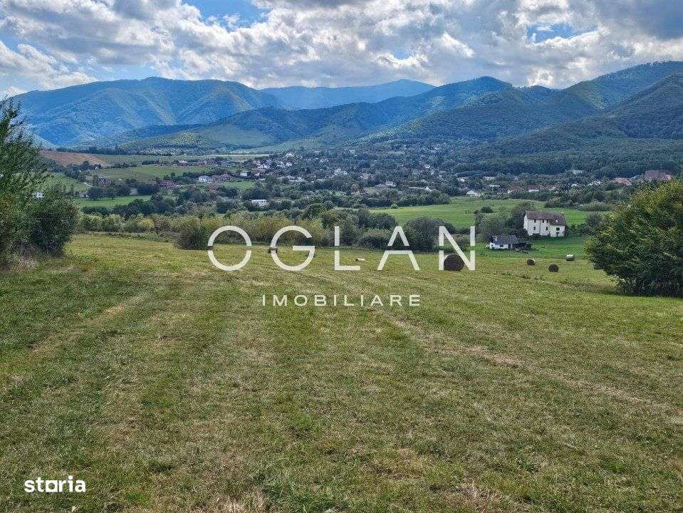 Teren Tocile (parcelabil) 3500 mp - Imagine principală: 5/19