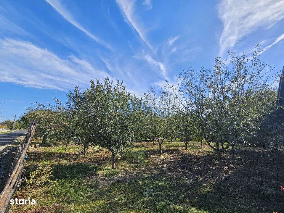 Teren *intravilan 308 mp cu utilitati* - Sat Ceauru, Comuna Balesti - Imagine principală: 5/6