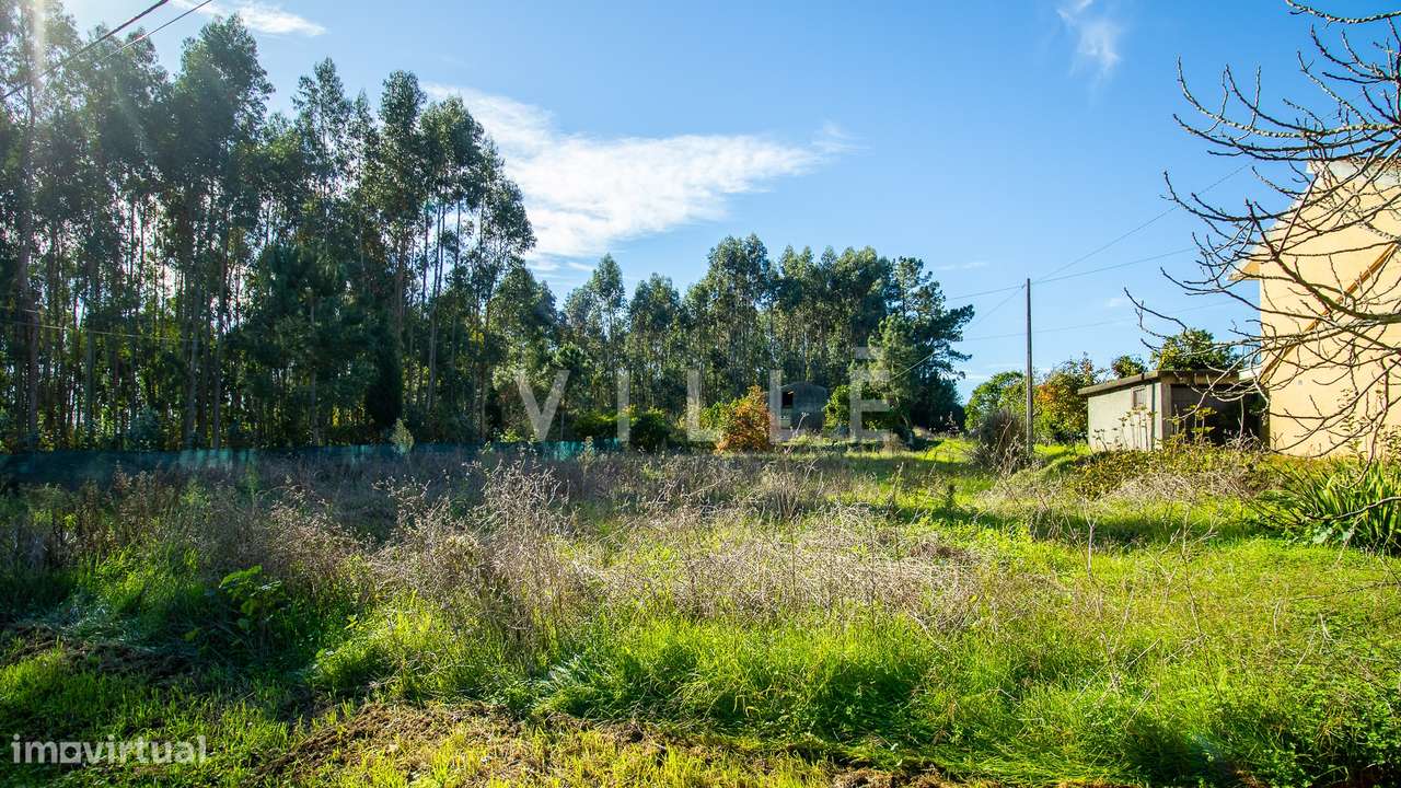 Terreno para venda no Troviscal para construção de moradia isolada - Grande imagem: 3/9