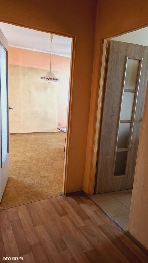 Przestronna kawalerka - Pełny obrazek: 5/6