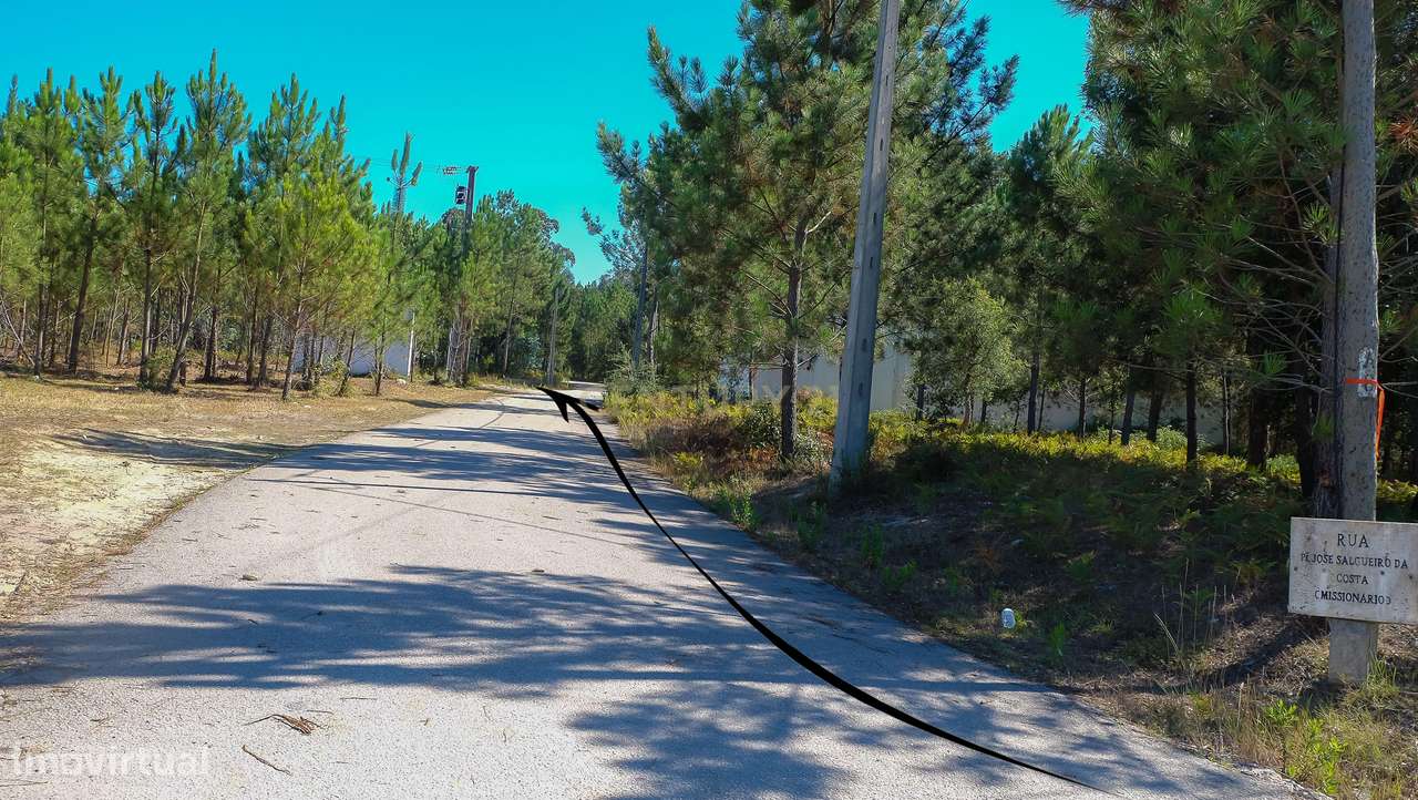 Terreno Plano  Para Construção Industrial - Grande imagem: 4/6