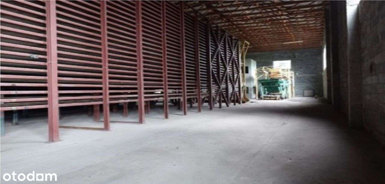 Hala/Magazyn, 1 108,53 m², Tomaszów Mazowiecki - Pełny obrazek: 5/6
