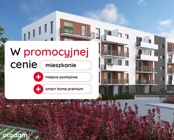 3-pokojowe mieszkanie 54m2 + balkon Bezpośrednio