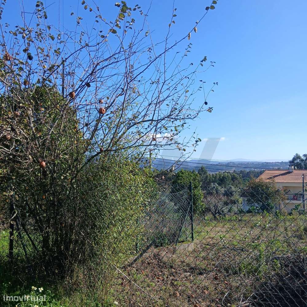 Terreno urbanizável plano, para moradia, com 1250 m2, em Adões, Coimbr - Grande imagem: 2/21