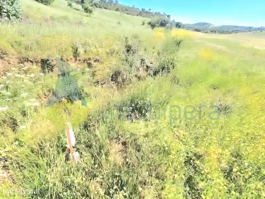 Terreno rústico com excelente localização, situado perto de S. Bart... - Grande imagem: 4/9