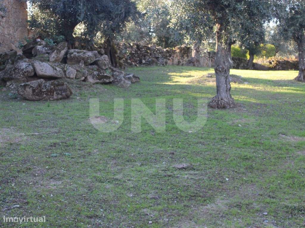 Terreno Urbano com 850m2 de área-3