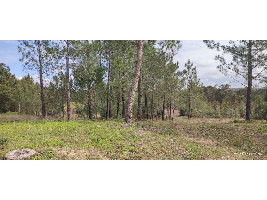 Terreno com área de quase 14.000m2, localizado em zona agradável e ... - Grande imagem: 4/10