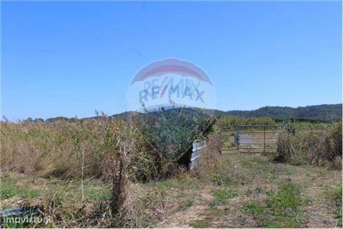Terreno  para venda - Grande imagem: 4/23