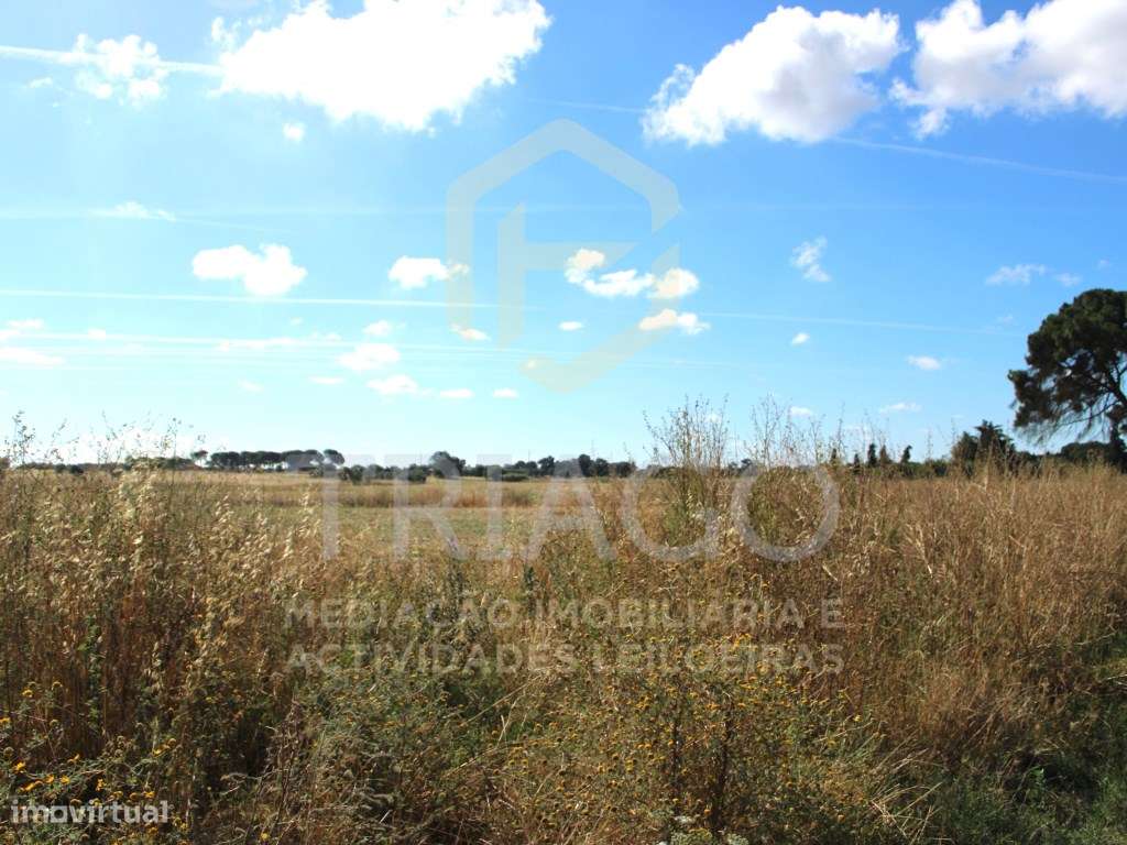 Terreno Rústico com 48.400 m2 - Grande imagem: 3/7