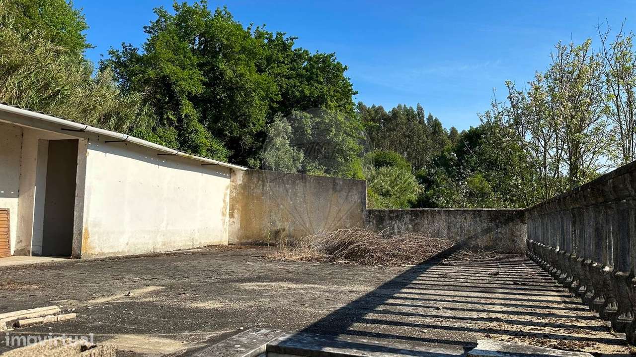 Quinta  para venda - Grande imagem: 3/24