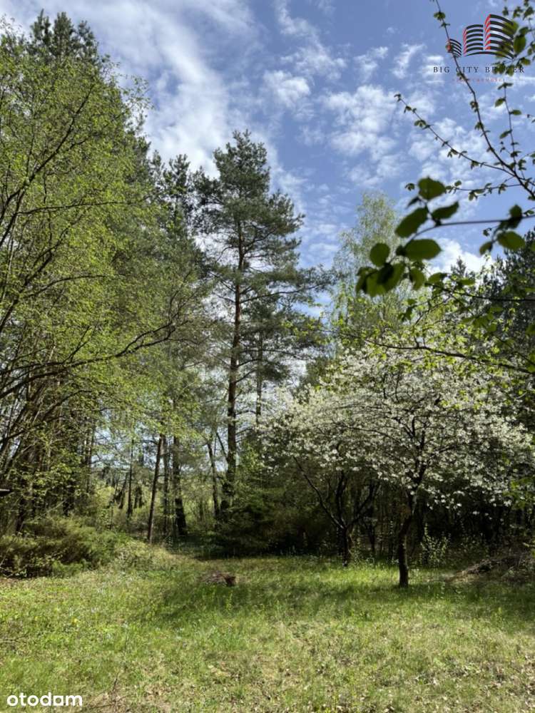 Piękna działka z domkiem obok Wisły Nasiłów-6
