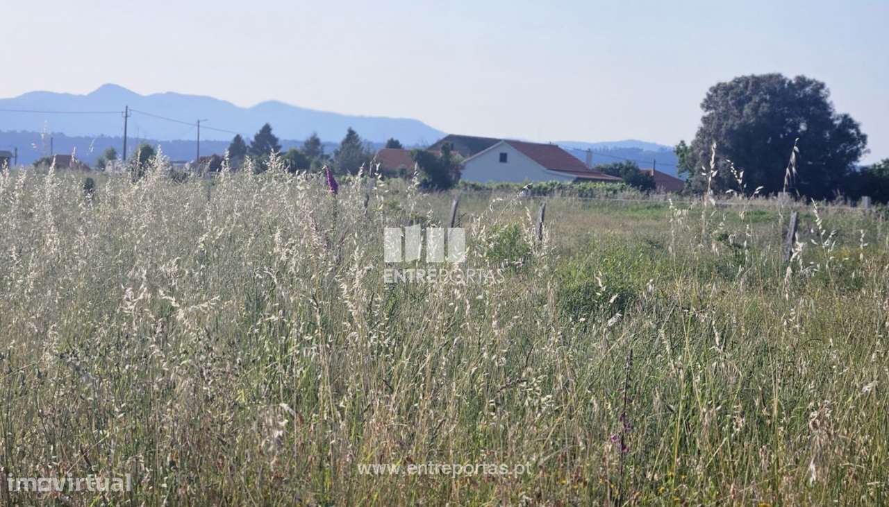 Terreno para venda, Friestas, Valença - Grande imagem: 5/7
