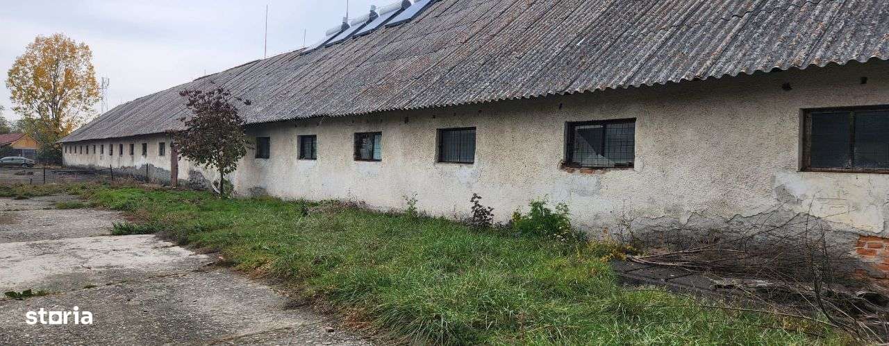 Depozit - cladire 1000 mp si teren 3416 mp, Budila! - Imagine principală: 1/8