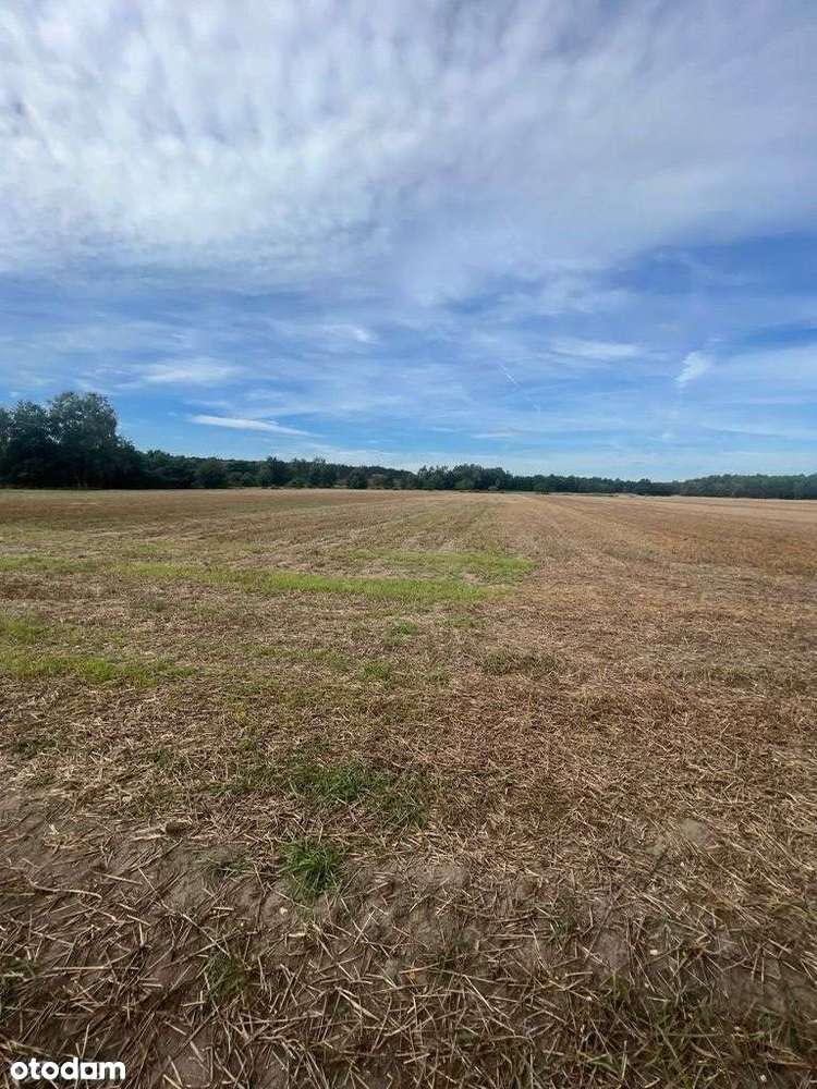 Działka budowlana blisko zalewu w Kobylej Górze - Pełny obrazek: 5/9