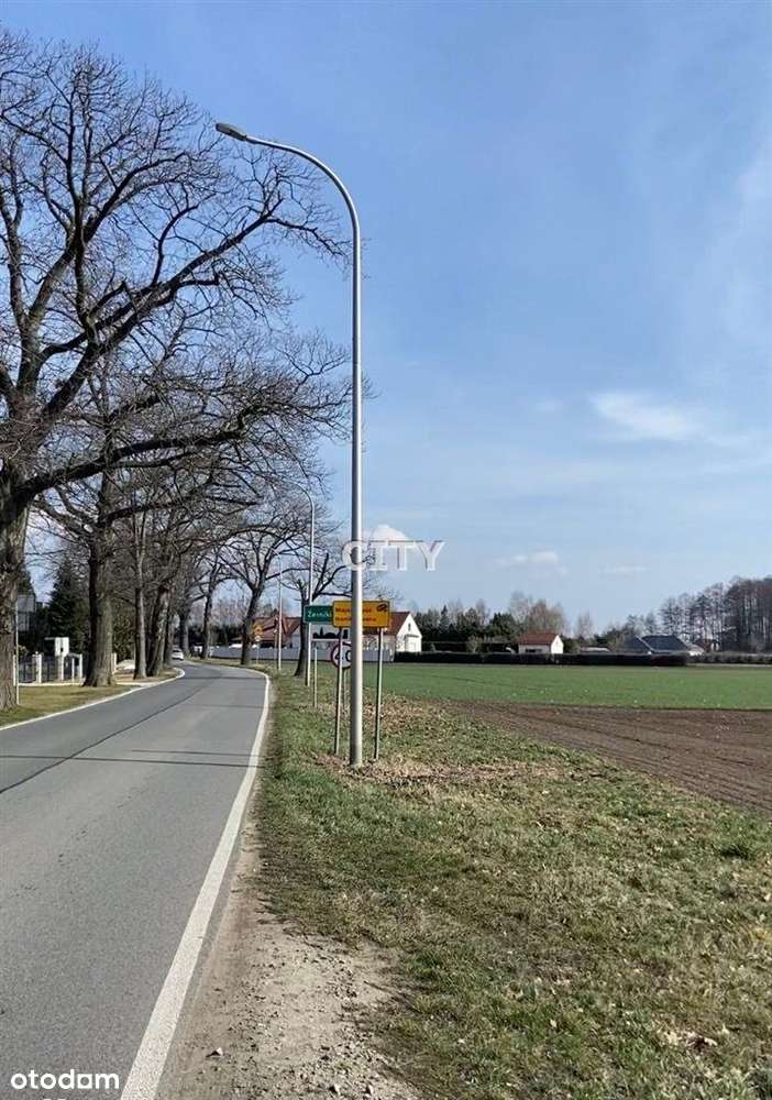 Działka, 5 500 m², Żerniki Małe - Pełny obrazek: 5/5