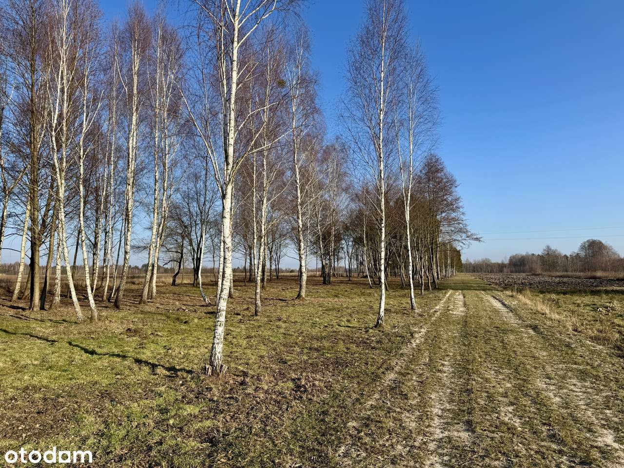 Działki budowlane przy jeziorze Białym-15