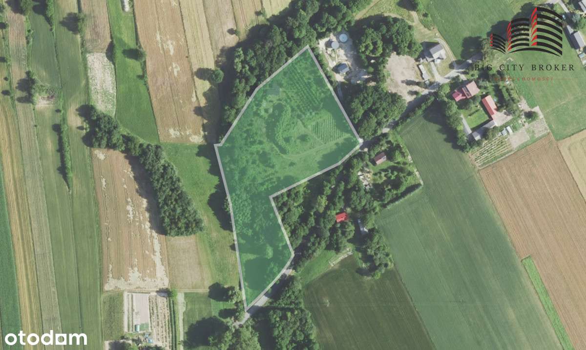 piękna działka na Roztoczu - Pełny obrazek: 5/10