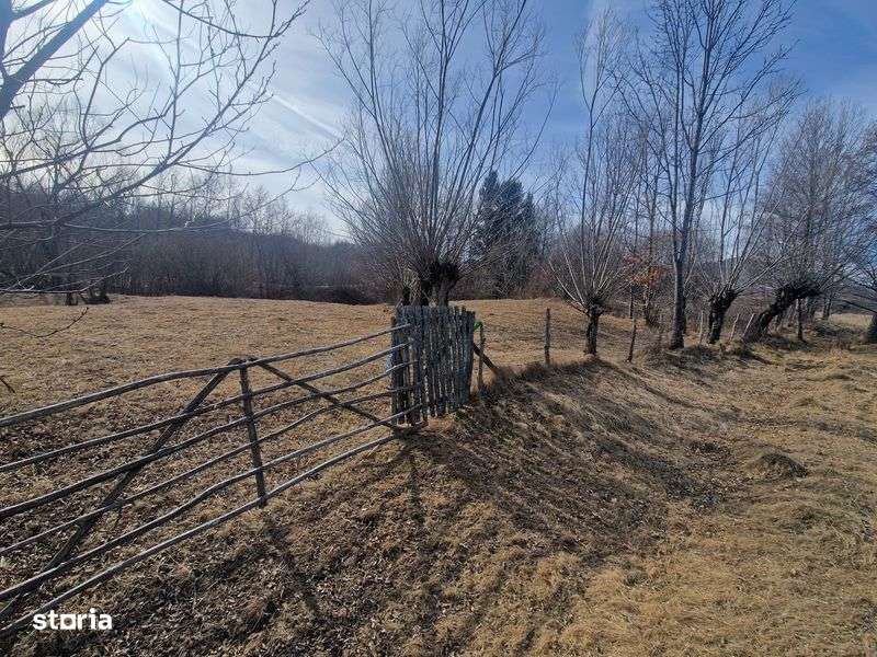 Vand teren intravilan - Nucsoara - Imagine principală: 5/8