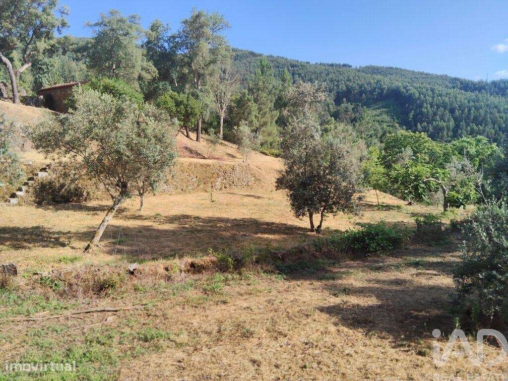 Terreno em Pedrógão Pequeno de 20,00 m2 - Grande imagem: 5/23