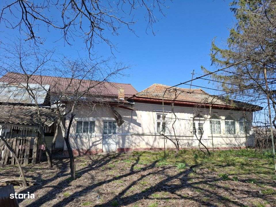 Vanzare teren + casa batraneasca in Racari, la DN71 - Imagine principală: 5/16