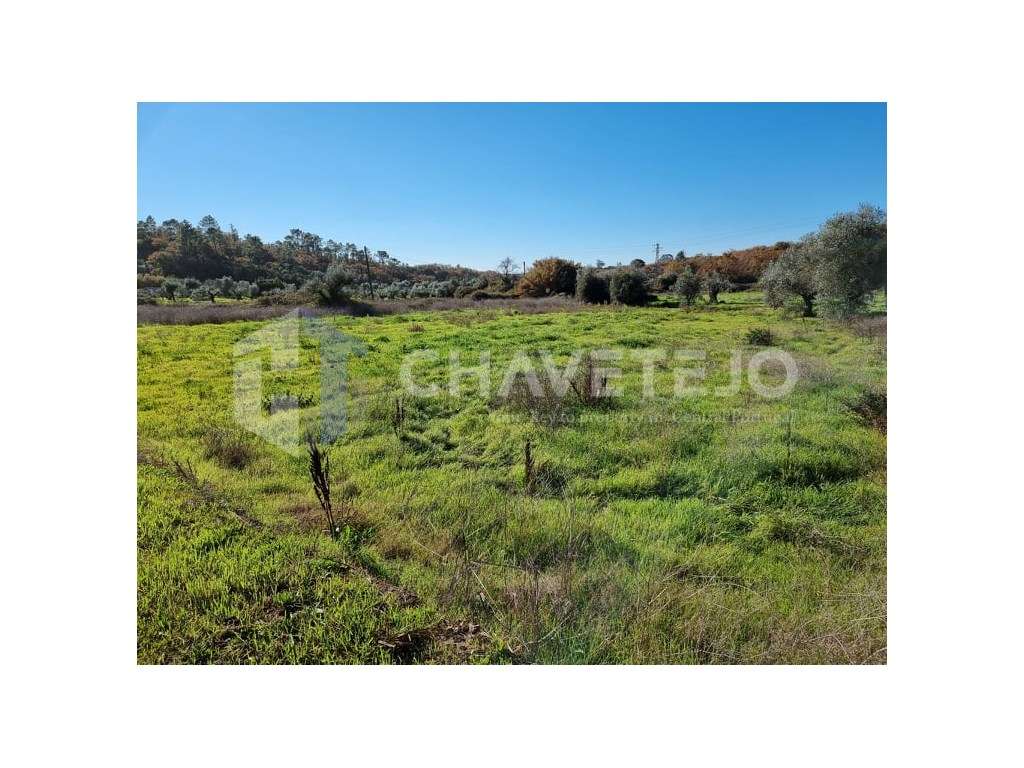 Terreno com viabilidade de construção, próximo de bons acessos, a 1... - Grande imagem: 4/5