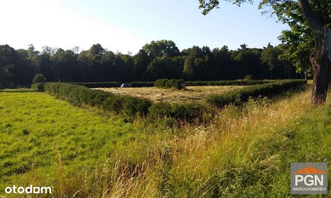 Duży grunt inwestycyjny. Trzebiatów! Możliwość pod