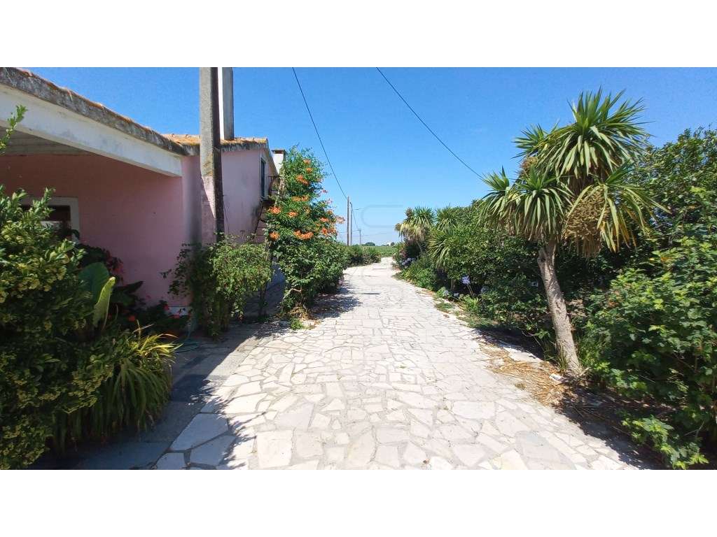 Herdade vinhateira próxima de Setúbal-26