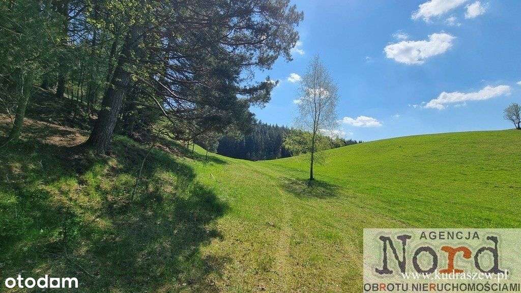 Działka Nad Jeziorem Suwalszczyzna-11