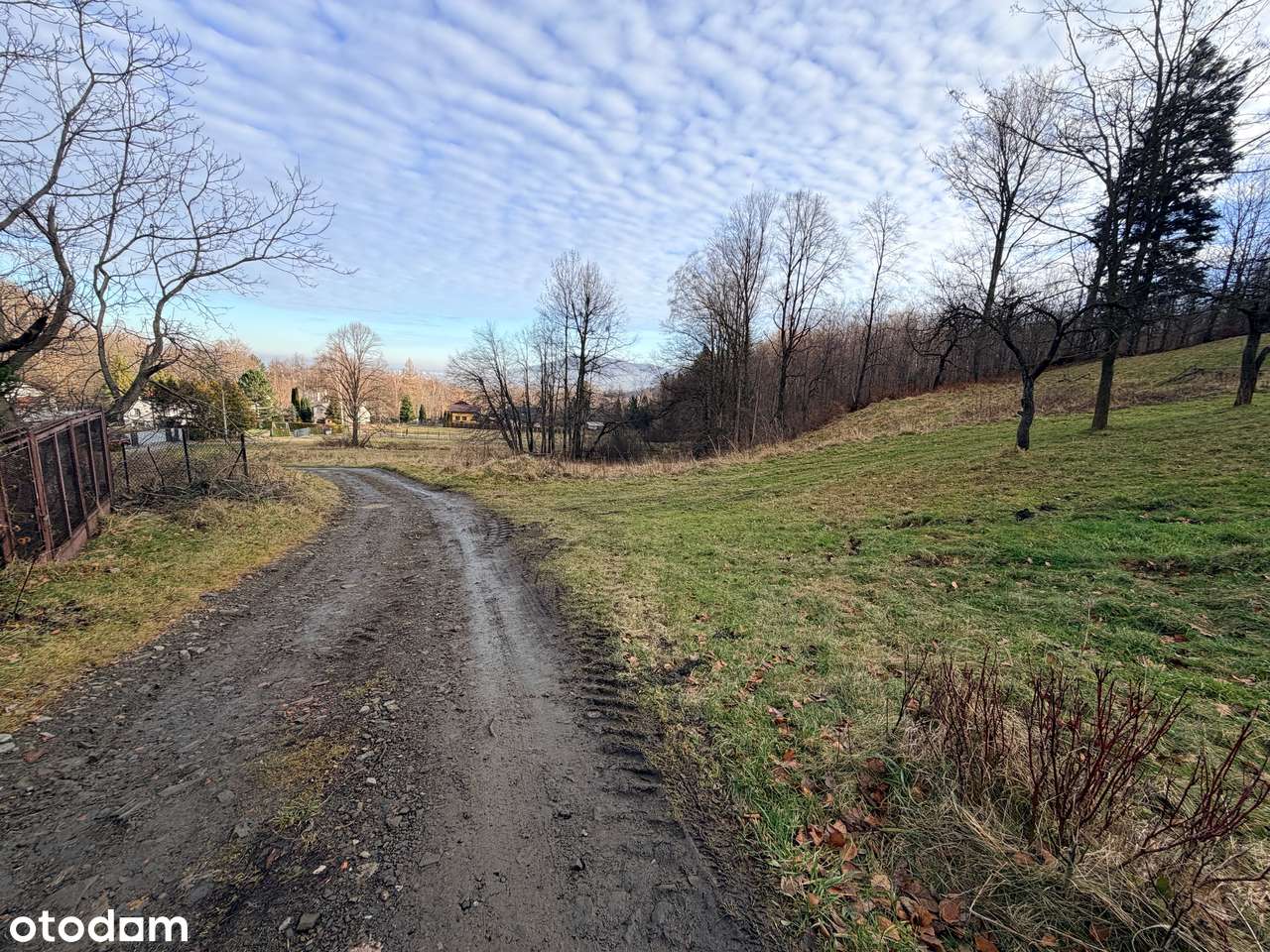 Wyjątkowa działka pod Szyndzielnią – cisza, las i widok na Dębowiec-3