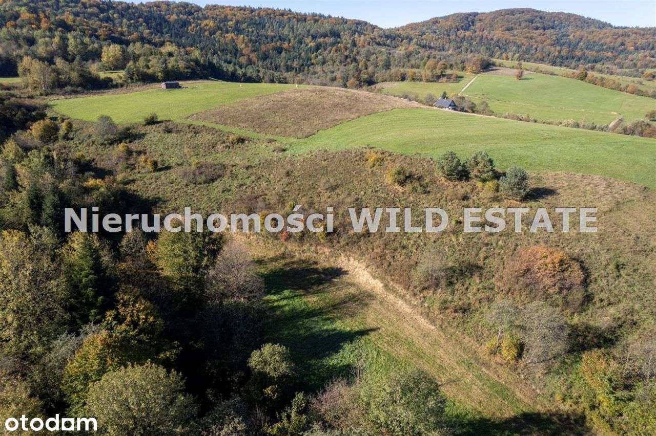 Działka, 4 572 m², Baligród - Pełny obrazek: 4/11