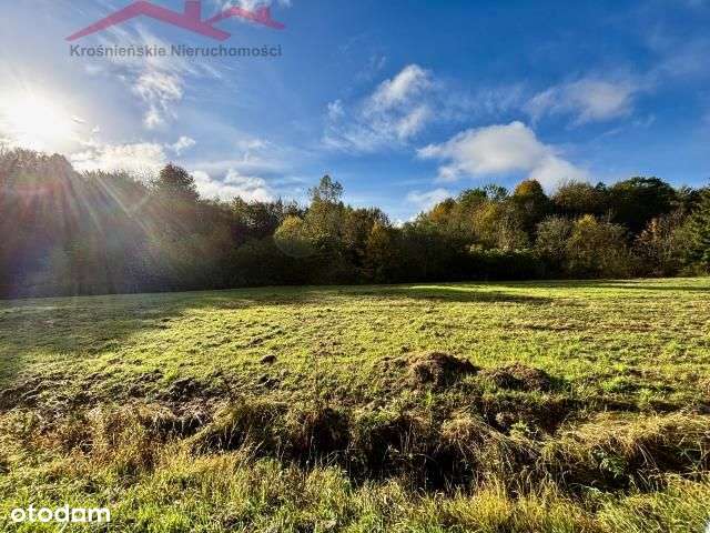 Piękna działka w Bałuciance - Pełny obrazek: 5/9