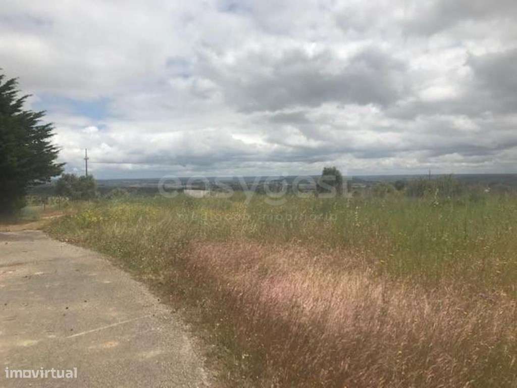 Terreno Misto com 8.650 m² em Comeiras de Cima - Excelente Potencia... - Grande imagem: 4/5