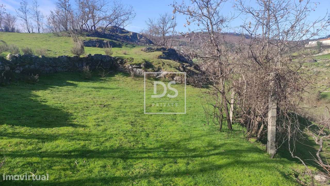 Terreno Rústico com 33.000m² à Venda em Loivos do Monte – Baião - Grande imagem: 5/11