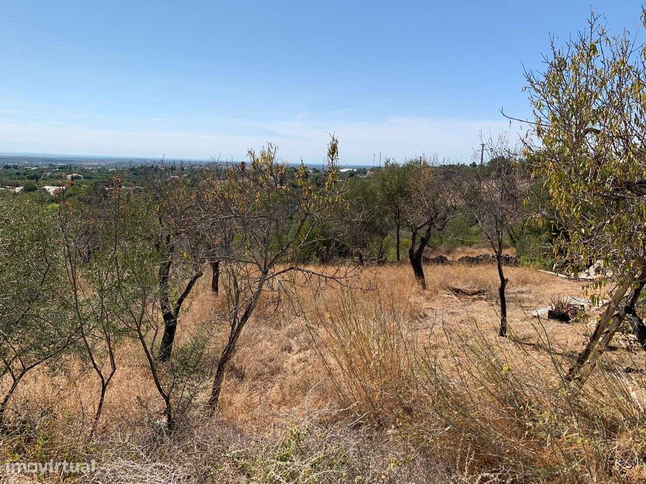 Terreno Urbano, com 3 artigos, Colmeal-14