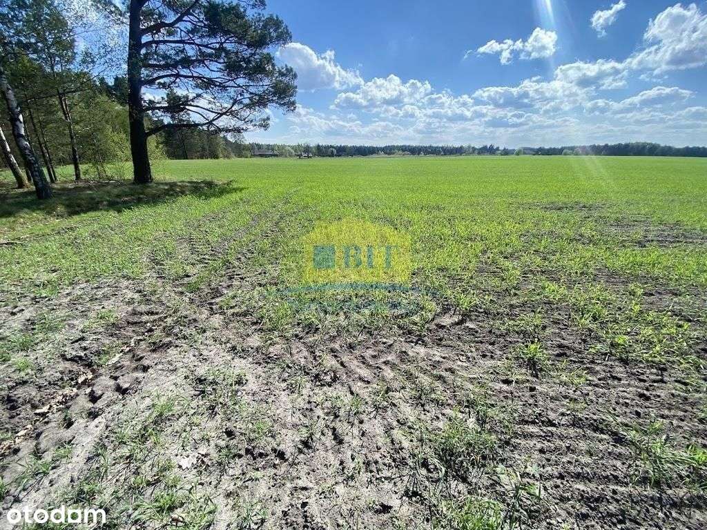 Działki 3 000 m2, Wygon nad Jeziorem Piaseczno, Wz - Pełny obrazek: 5/19