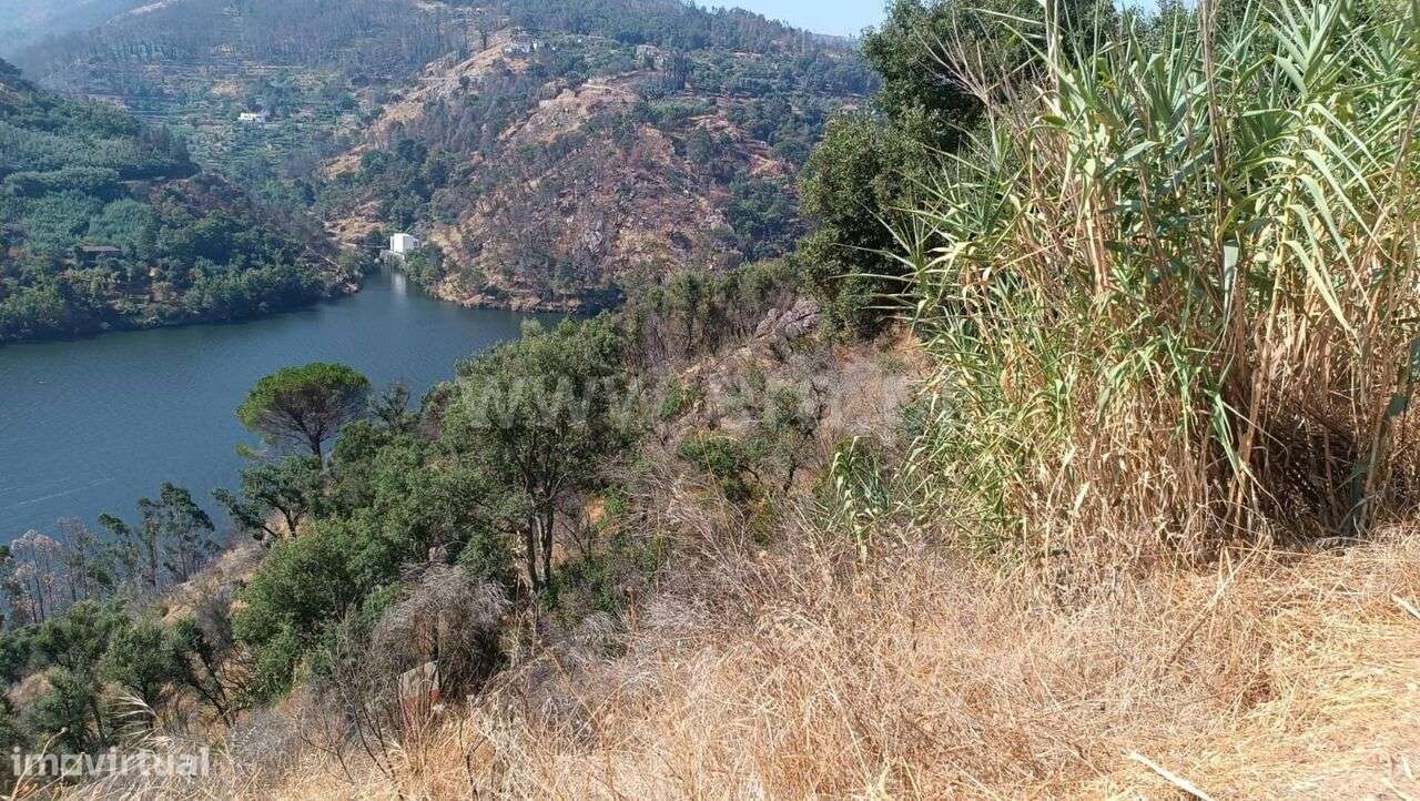 Terreno / Baião, Ancede e Ribadouro - Grande imagem: 5/5