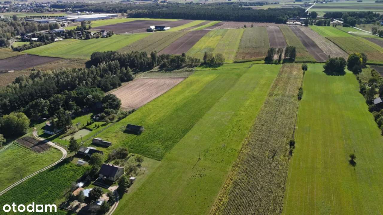 Działka 3000m2; Zambrów; ul. Stokrotki - Pełny obrazek: 5/15